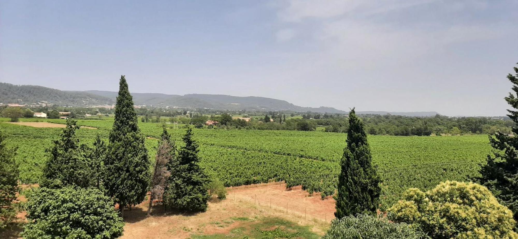 لو لوك Bed And Breakfast La Grande Lauzade الغرفة الصورة